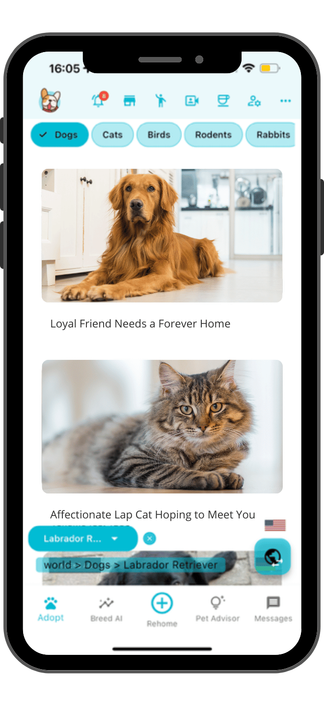 Pets Home app - UK pet adoption and rehoming